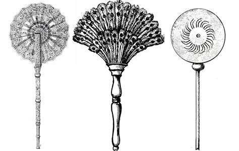   Flabellum! A Colorful Fan That Dances With the Currents